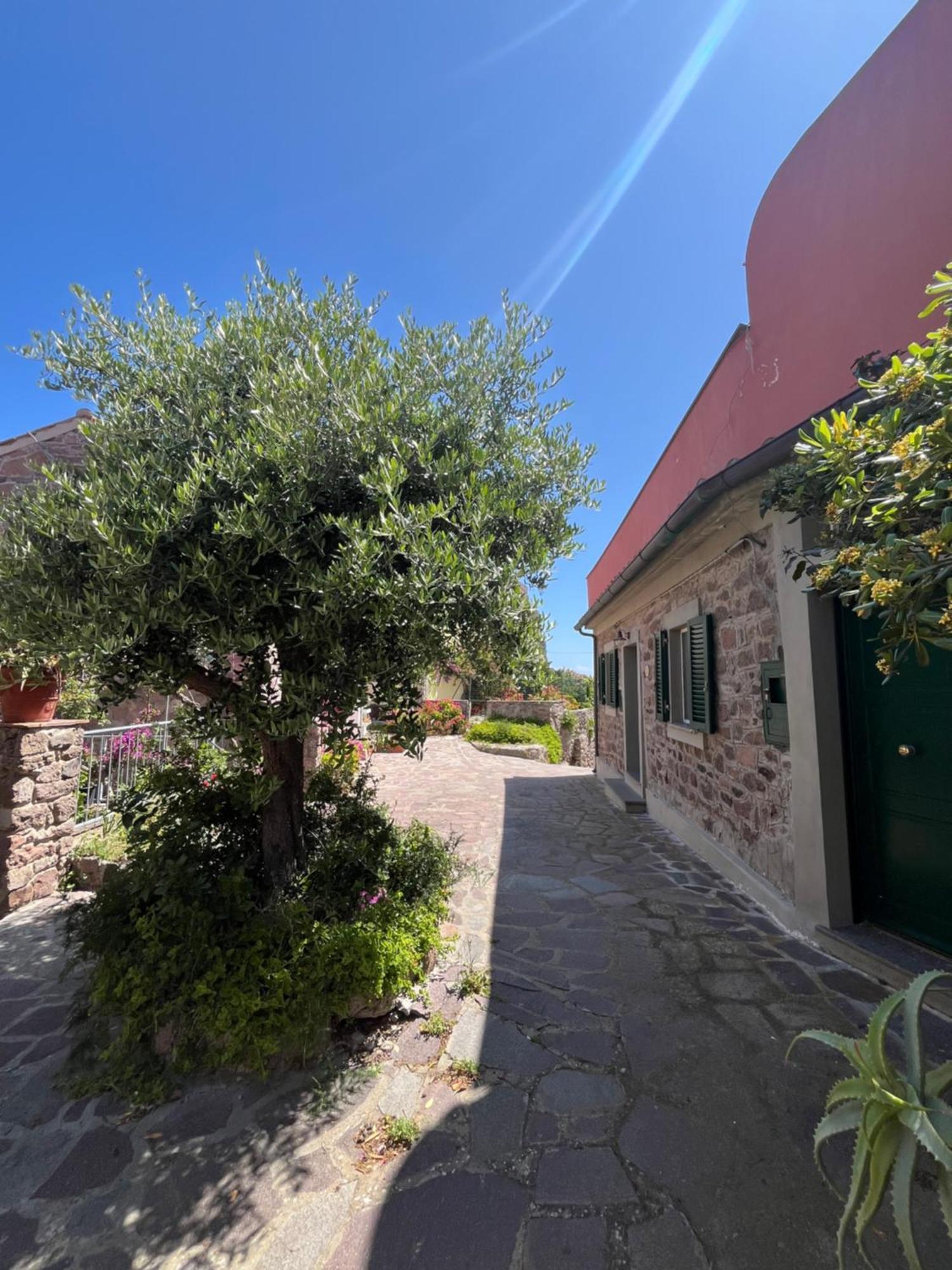 Villa Casa Vista Castello Capraia Exterior foto